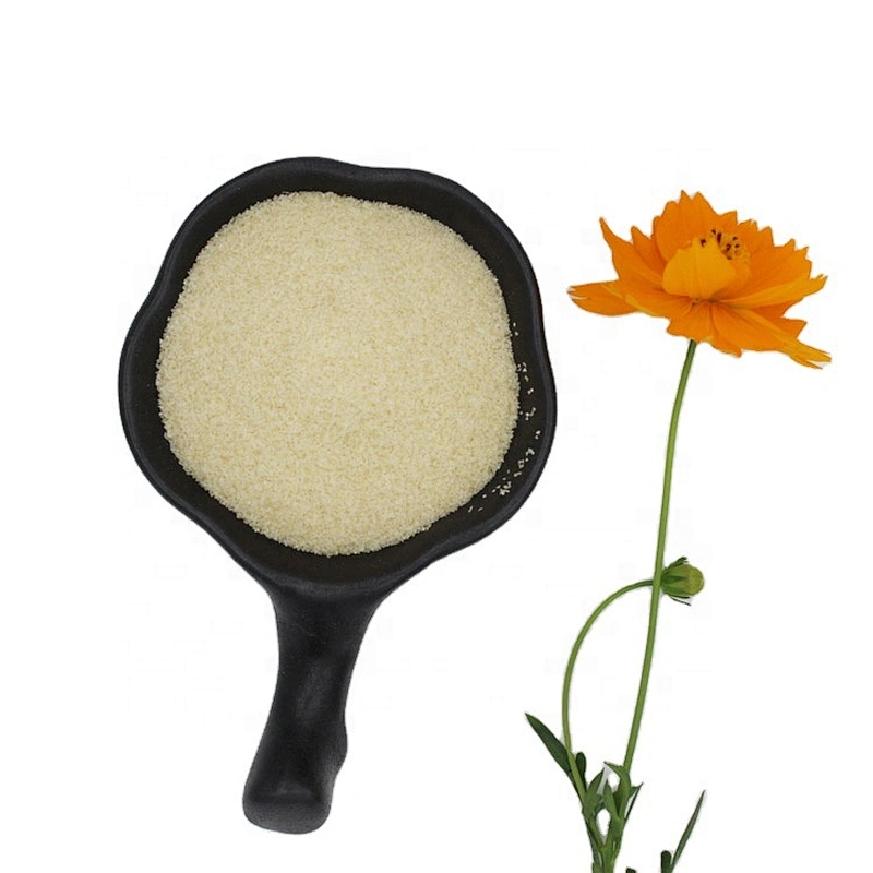 Supplier Fish Gelatin Halal Gelatin Powder food additives gelatin for healthcare supplement